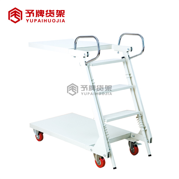 Warehouse Ladder 3 - Changzhida Supermarket equipments